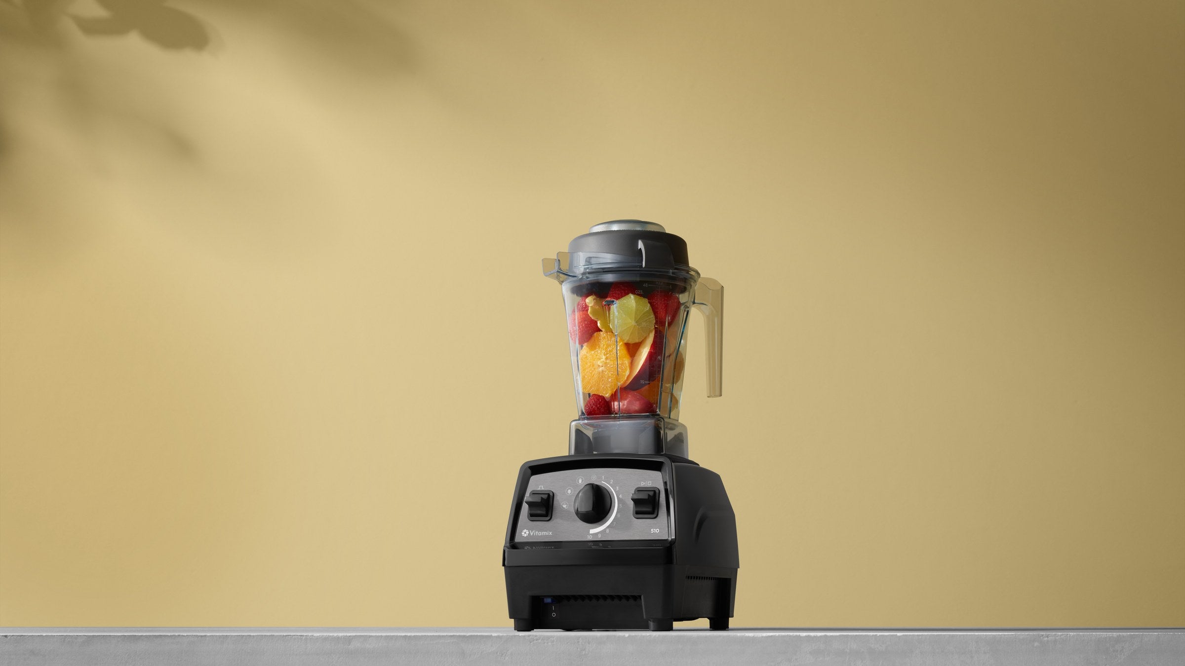 Vitamix Explorian E510 mit Fruechten im Behaelter vor warmem Hintergrund